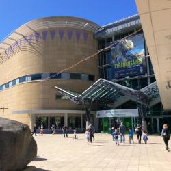 Museo Te Papa, Wellington