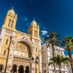 Cathedral of St. Vincent de Paul, تونس