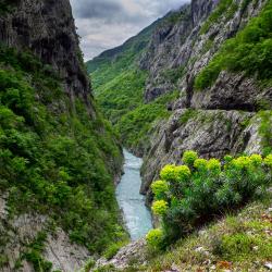 Moraca Canyon, Podgorica