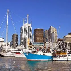 비아덕트 하버, 오클랜드