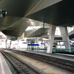 محطة فيينا الرئيسية للقطارات