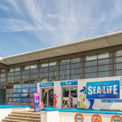 National Sealife Aquarium, Bray
