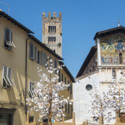 Basilica of San Frediano