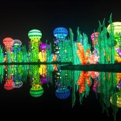 Светящийся сад в Дубае