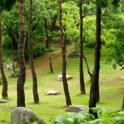 Parque Namsan