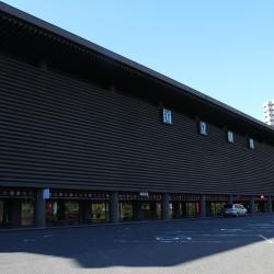 Teatro Nacional de Japón