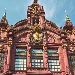 Universidade de Heidelberg