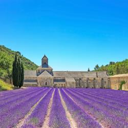 Abbaye de Senanque