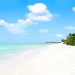 롱 비치 진주박물관, 무이네