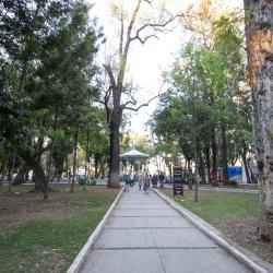 Morelos Park