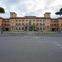 Hospital San Camillo