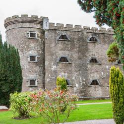 Cork City Gaol, Cork