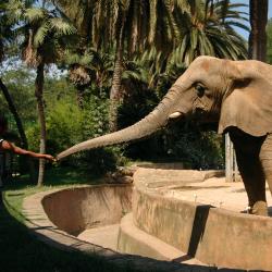 Барселонска зоологическа градина