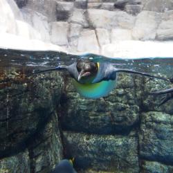 横須賀芸術劇場 日本 横須賀市 近くの人気ホテル10軒 横須賀芸術劇場 日本 横須賀市 近くの人気ホテル10軒