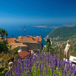 Exotic Garden of Monaco, Monte Carlo