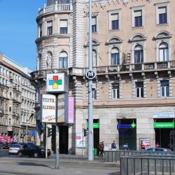 Blaha Lujza Square Metro Station