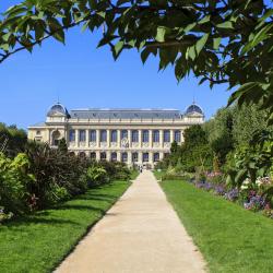 Jardín de plantas de París