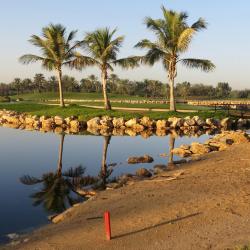 Golf-teren resorta Jebel Ali Golf Resort & Spa