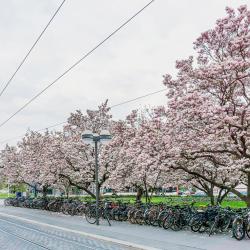 Viurcburgo centrinė geležinkelio stotis