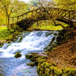波士尼亞之泉（River Bosna Springs）