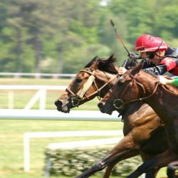 Deauville Racecourse