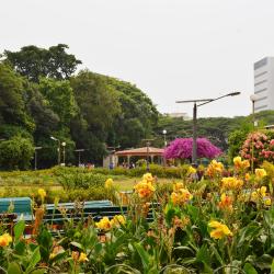 Hanging Gardens