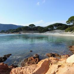 Palombaggia Beach