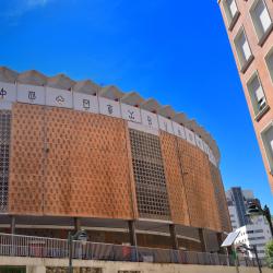 Vista Alegre Bullring