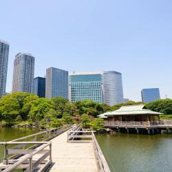 Jardín Hamarikyu Teien