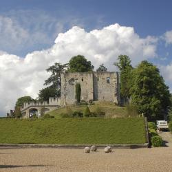 Castelo de Langeais