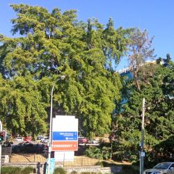 The Wesley Hospital