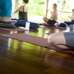 Estudio de Yoga Barn, Ubud