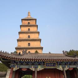 Den store villgås-pagoden
