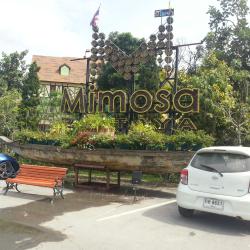 Mimosa Pattaya