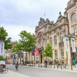 nakupovalna ulica Meir, Antwerpen