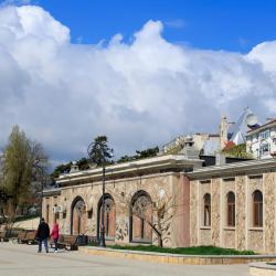 Aquarium Constanta, Constanţa