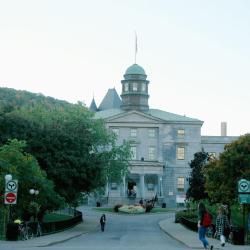 McGill Universitet