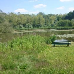 Westerpark parkas