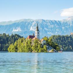 Bled Island