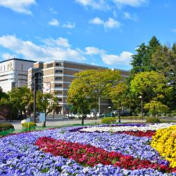 Kotodai-parken