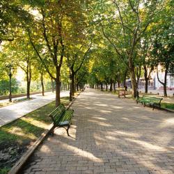 Primorsky Boulevard, Odesa