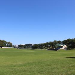 Museu Domain de Auckland