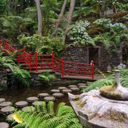 Jardin tropical de Monte Palace