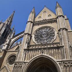 Sint-Maartenscathedraal