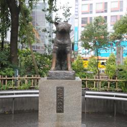 تمثال الكلب هاتشيكو