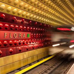 Flora stanice metra