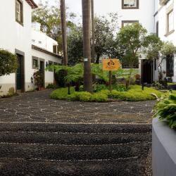 Musée d'histoire naturelle de Funchal