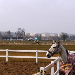 Hipódromo de Sopot