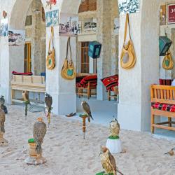 Falcon Souq, Doha