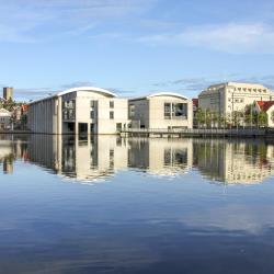 Reykjav&iacute;k City Hall